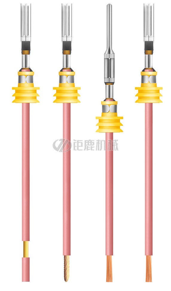 1769389567686173.jpg 1757218168871629.jpg