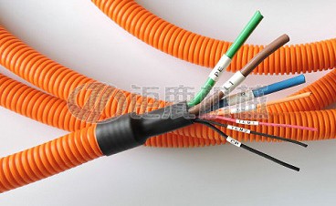 1773370802350148.jpg 1650694400205376.jpg